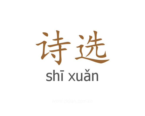 诗选