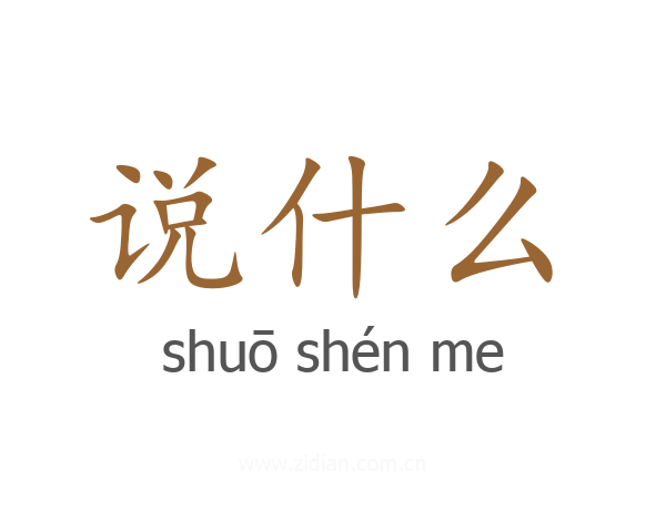 说什么
