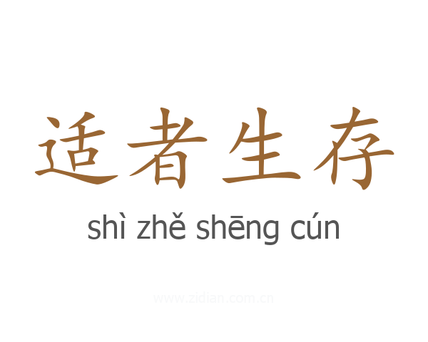 适者生存
