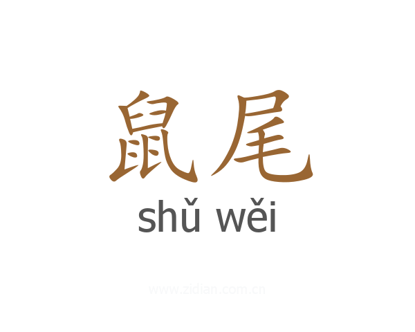 鼠尾