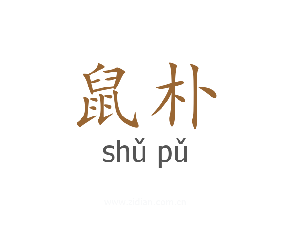鼠朴