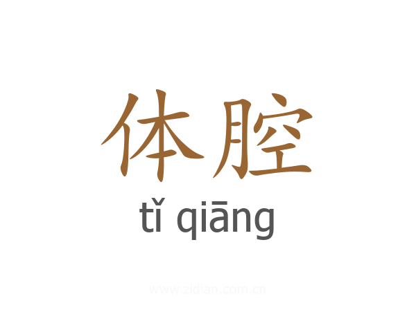 体腔