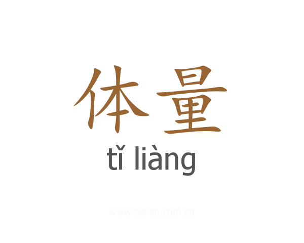 体量