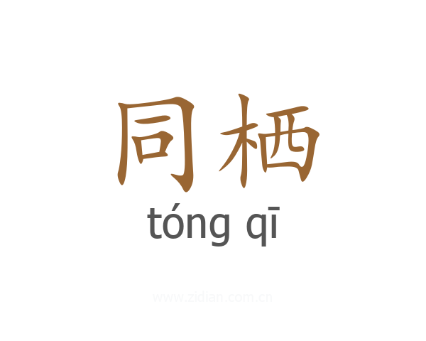 同栖