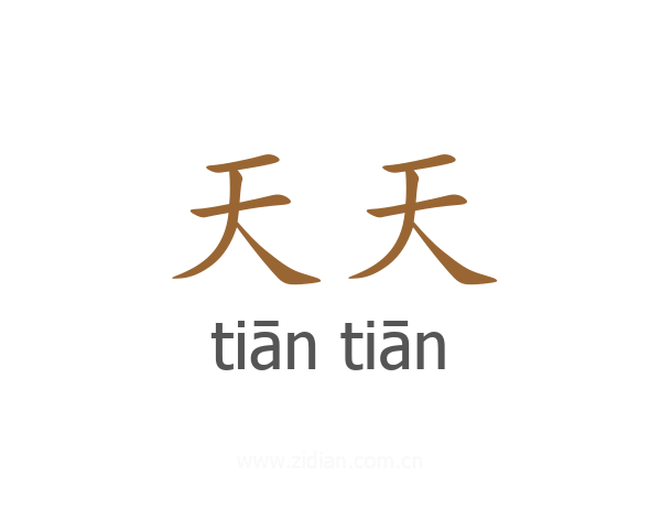 天天