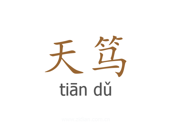 天笃