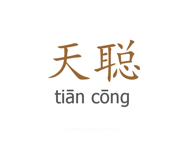 天聪