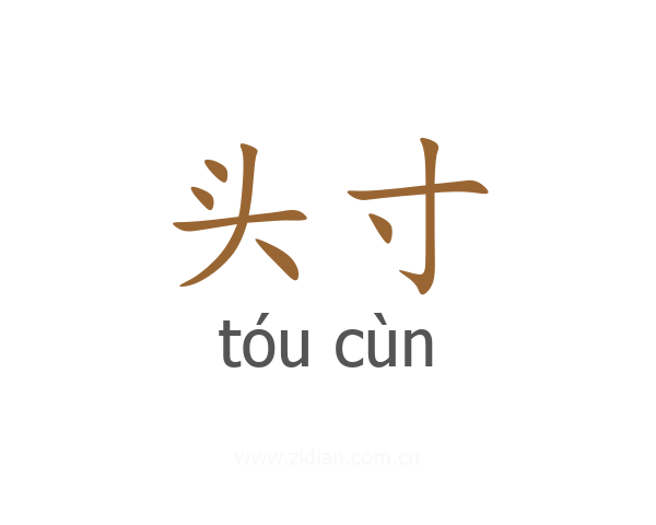 头寸