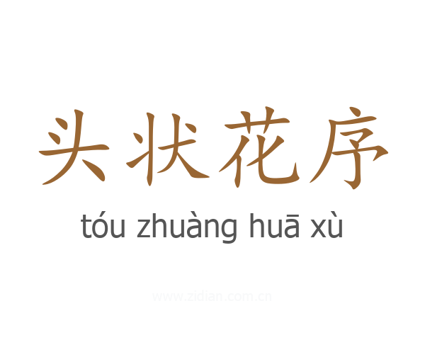 头状花序