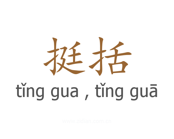 挺括