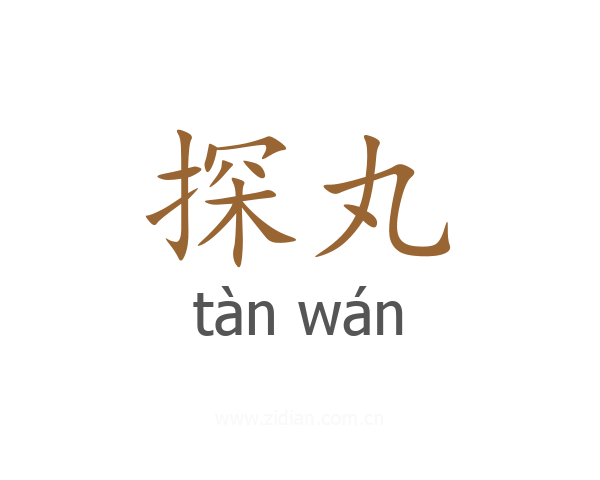 探丸