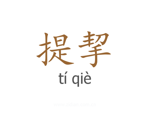 提挈