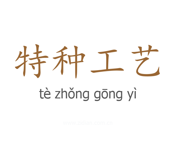 特种工艺