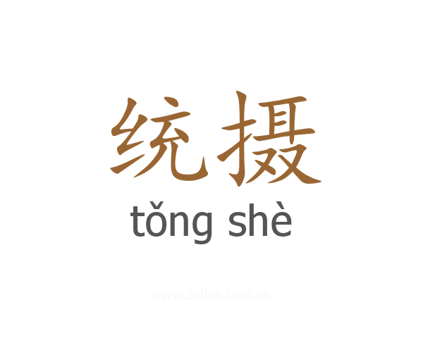 统摄