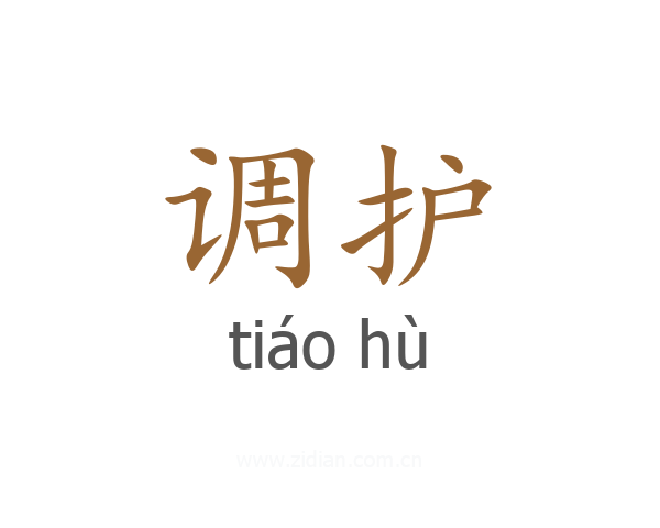 调护