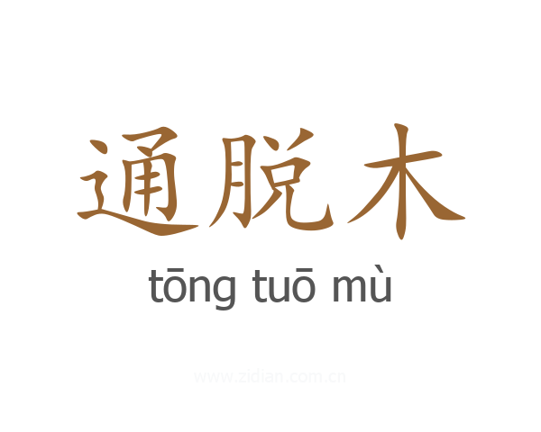 通脱木