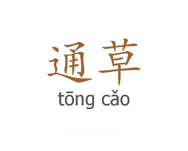 通草