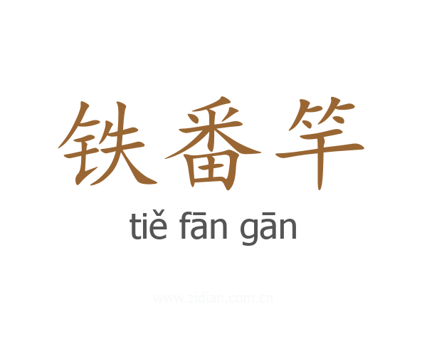 铁番竿