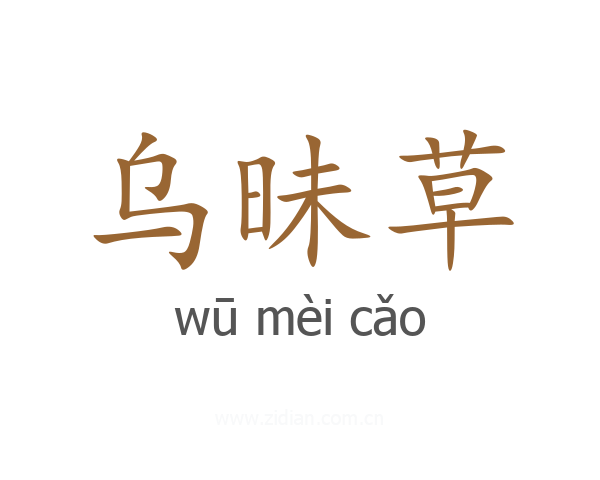 乌昧草