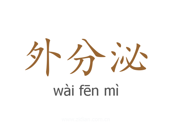 外分泌