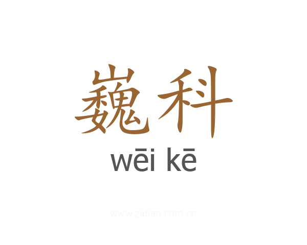 巍科