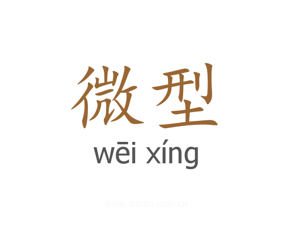 微型