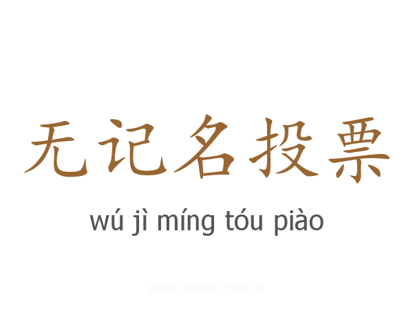 无记名投票
