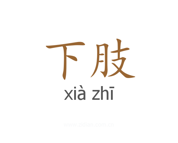 下肢