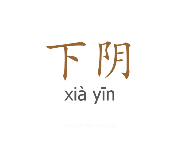 下阴