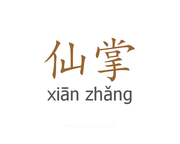 仙掌