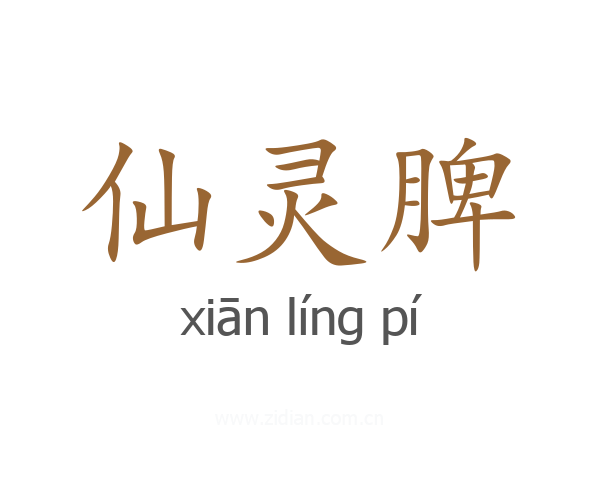 仙灵脾