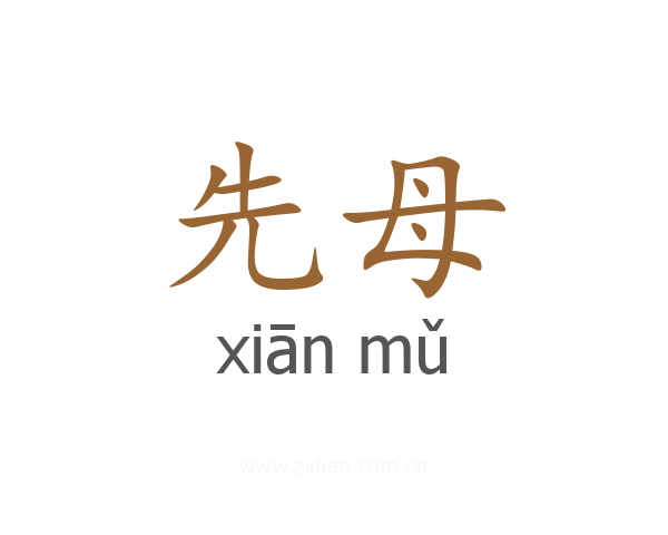 先母