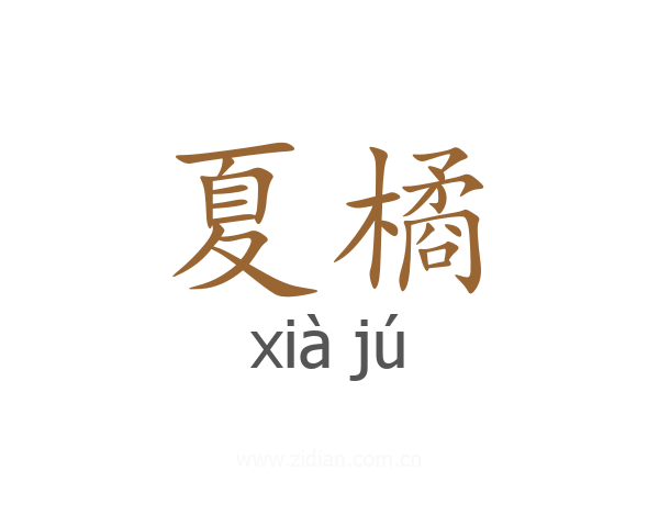 夏橘