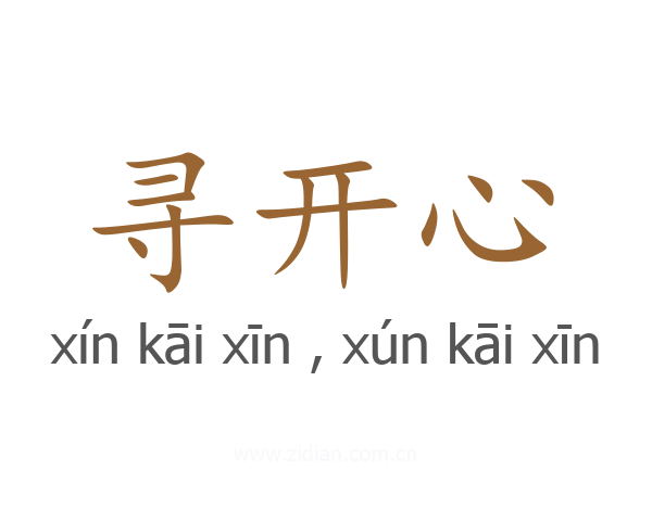 寻开心