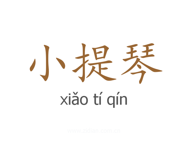 小提琴