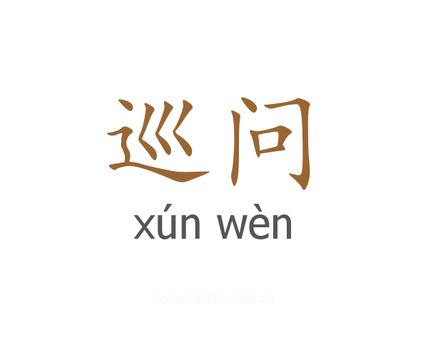 巡问