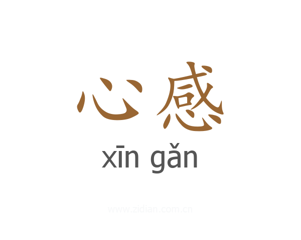 心感