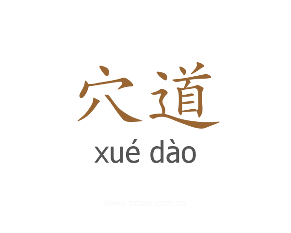 穴道