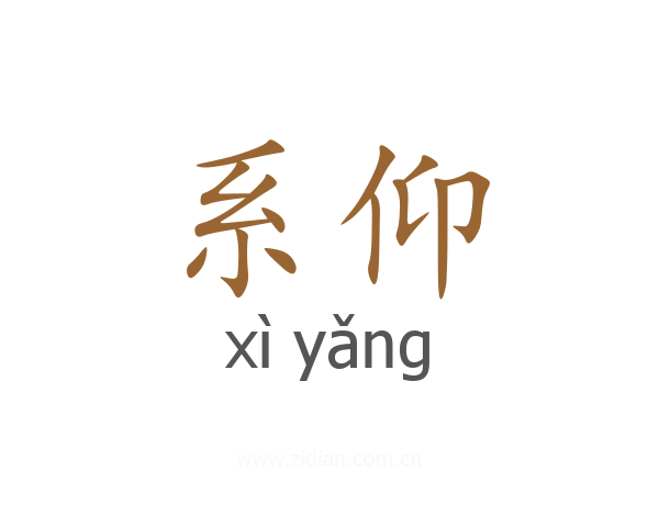 系仰