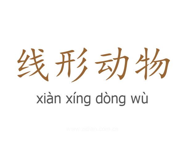 线形动物