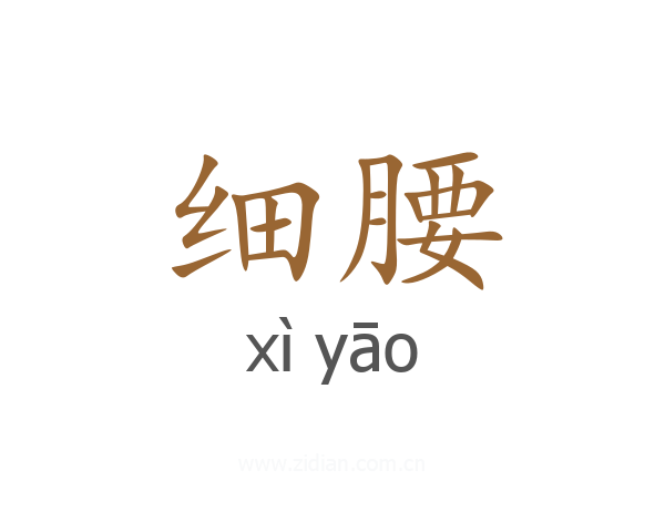 细腰