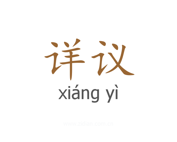 详议