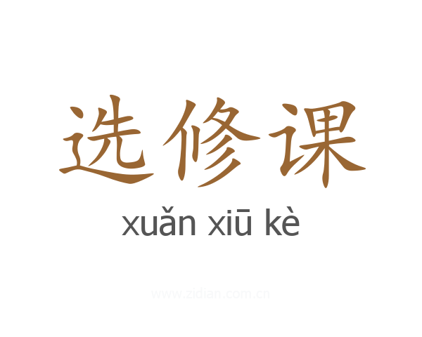 选修课
