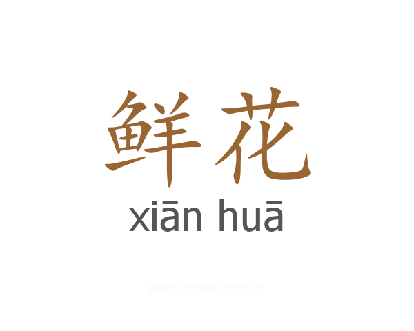 鲜花