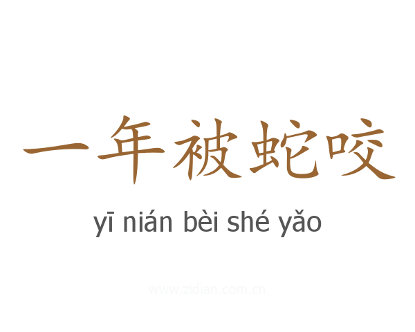 一年被蛇咬