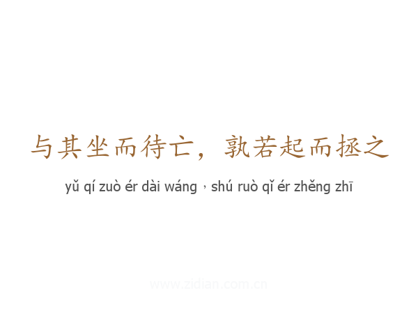 与其坐而待亡,孰若起而拯之