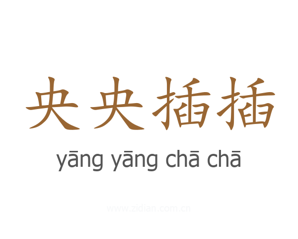 央央插插