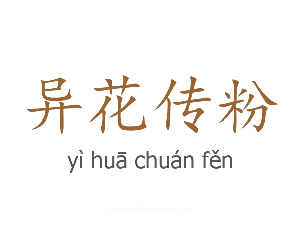 异花传粉