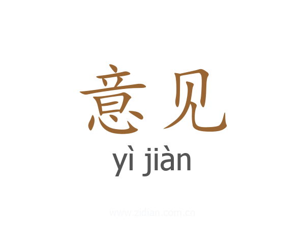意见