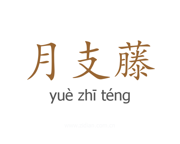 月支藤